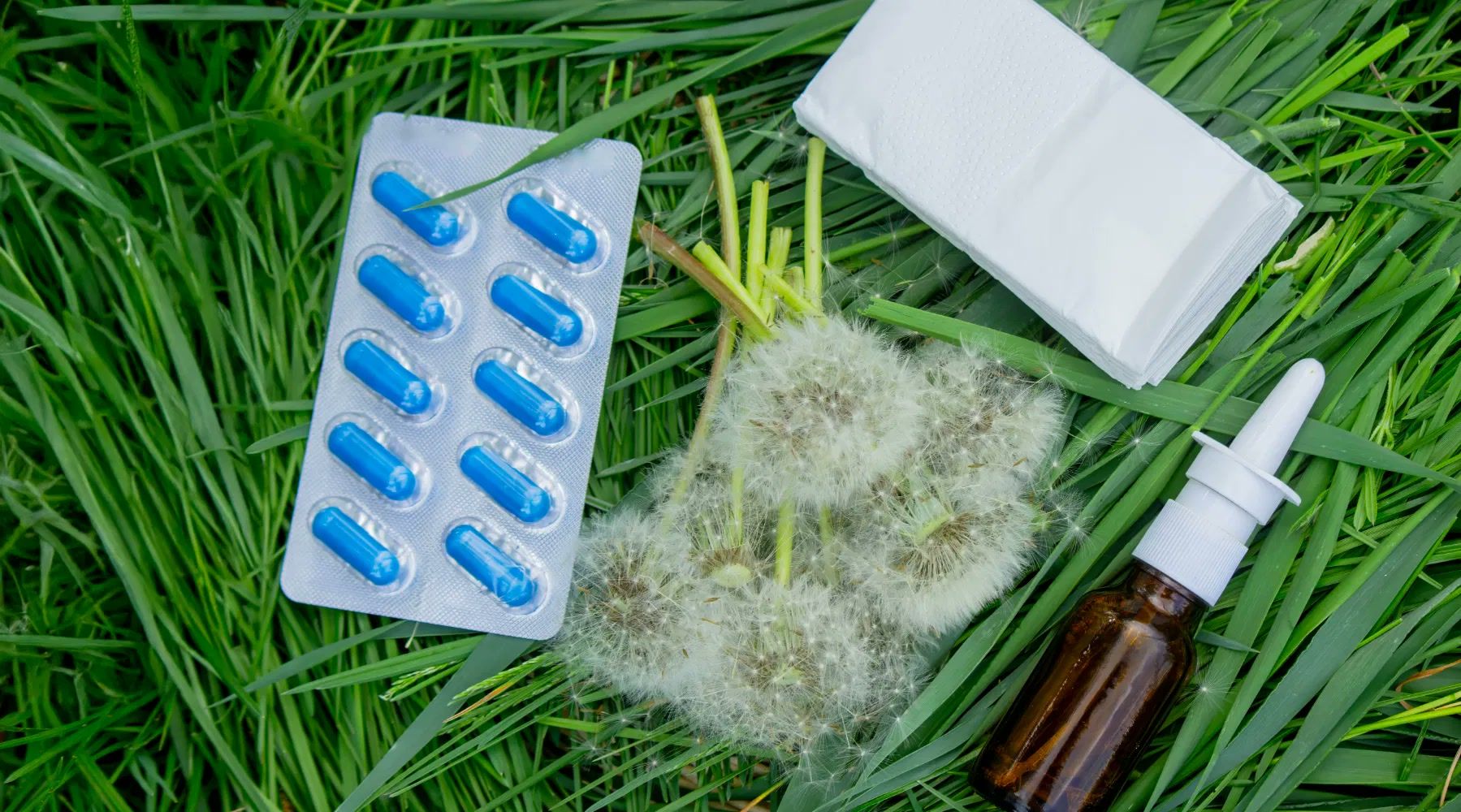 Alerginės reakcijos ir anafilaksija: prevencija, atpažinimas ir skubios pagalbos principai