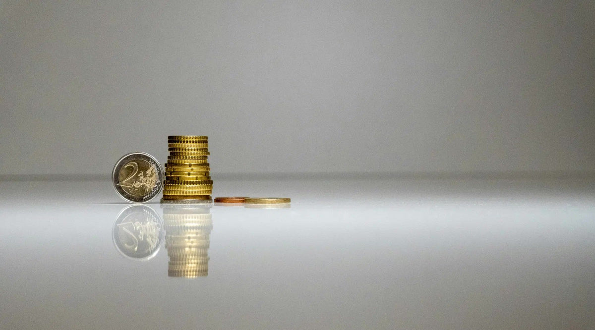 Finansų valdymo ypatumai asmenys su negalia